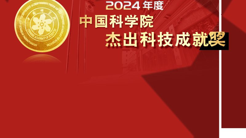 数字化转型背后的关键考量：案例对比分析**